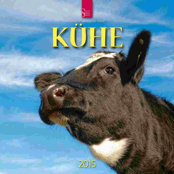 Kühe 2015 